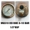 Pressure Gauge Nuova Fima